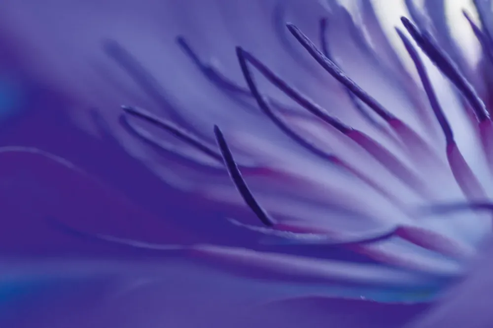 Blue Arms
