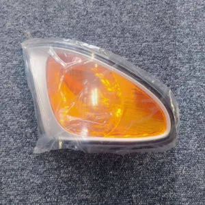 BMW E46 Blinker Titan (Rechts)