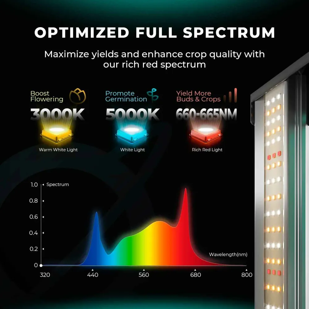 Mars Hydro FC1000W-EVO 1000W Samsung LM301H EVO LED-Pflanzenlampe – Kommerzielle CO₂-Vollspektrum-Pflanzenlampe für große...