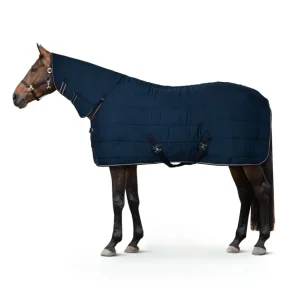 Glasgow Stalldecke / Unterdecke mit Halsteil, 150g Blueberry 135