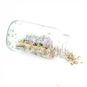 Ersatz-Keimglas Biosprosser ohne Ständer / ohne Sieb & Deckel 3100ml