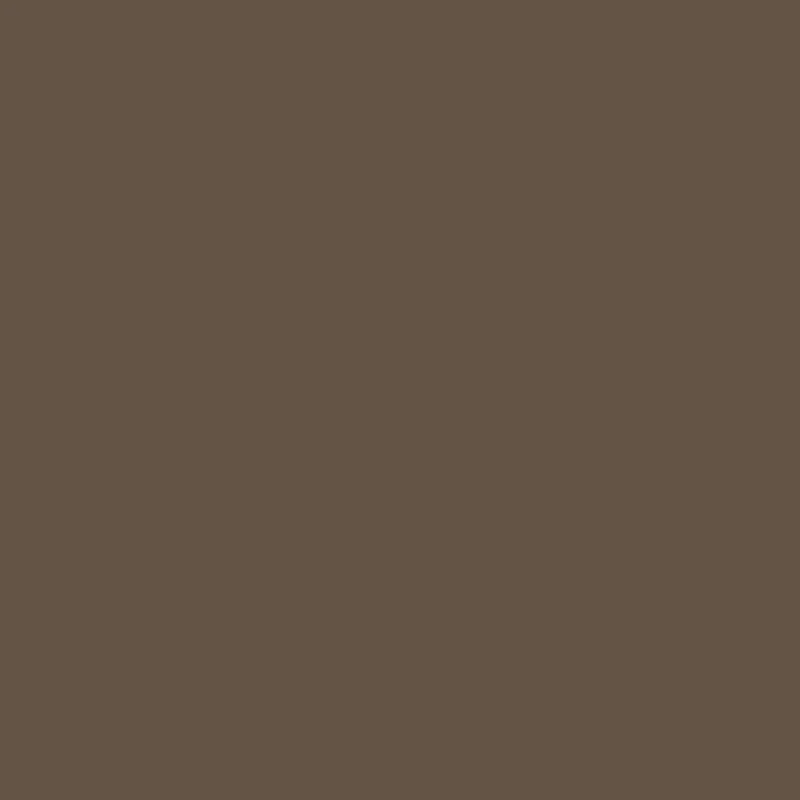 4.005 Italian Coffee Wasserbasis Lak Mia Colore