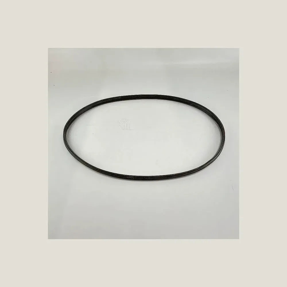 Dampftürdichtung Electrolux 1540 mm 5611615021 5611615047
