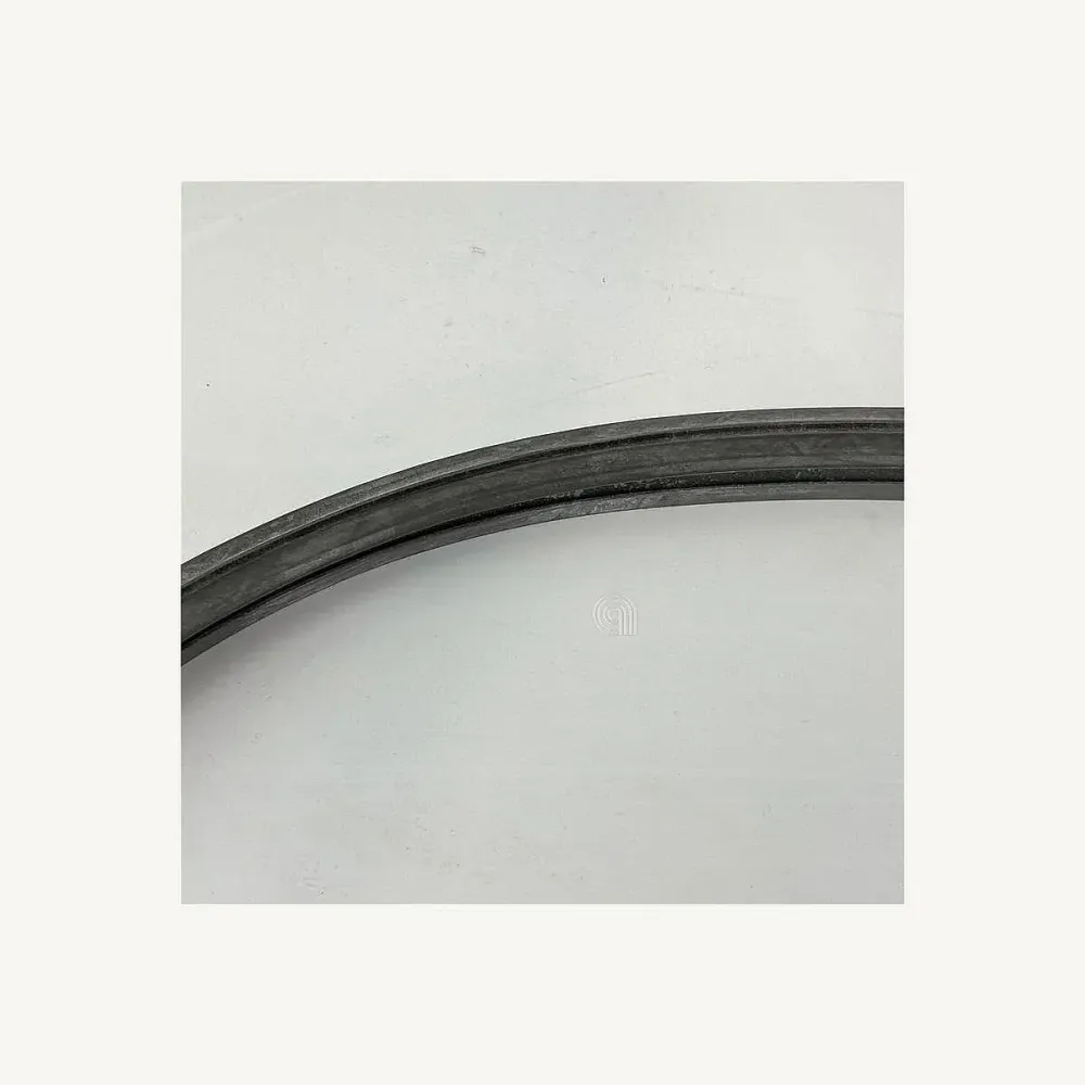 Dampftürdichtung Electrolux 1540 mm 5611615021 5611615047
