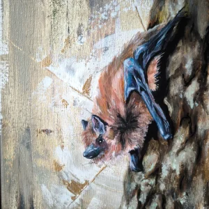 Fledermaus
