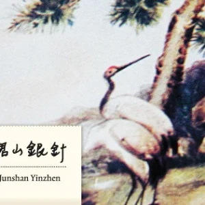 Junshan Yinzhen