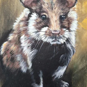 Kleiner Hamster