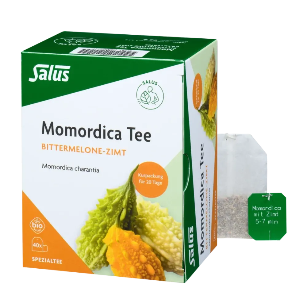 Momordica mit Zimt Tee Bio 40 Filterbeutel Salus