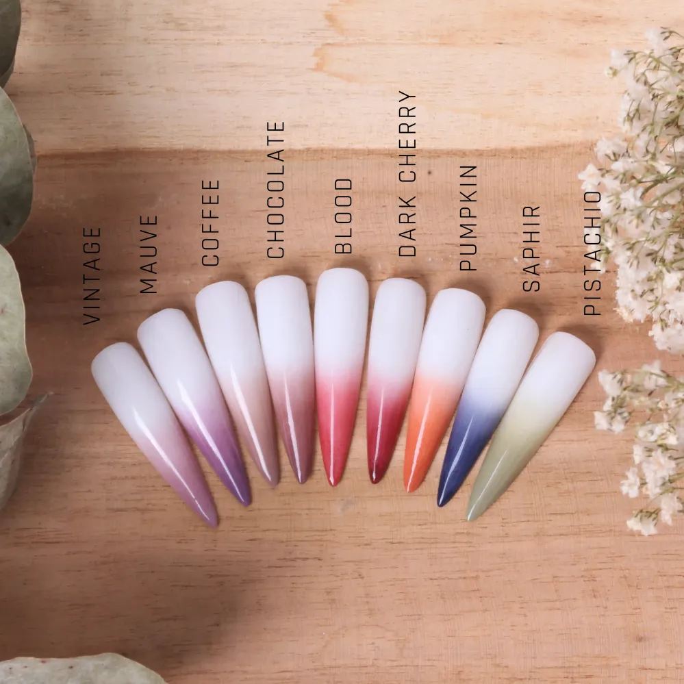 Ombre Babyboomer Gel · Coffee 2g