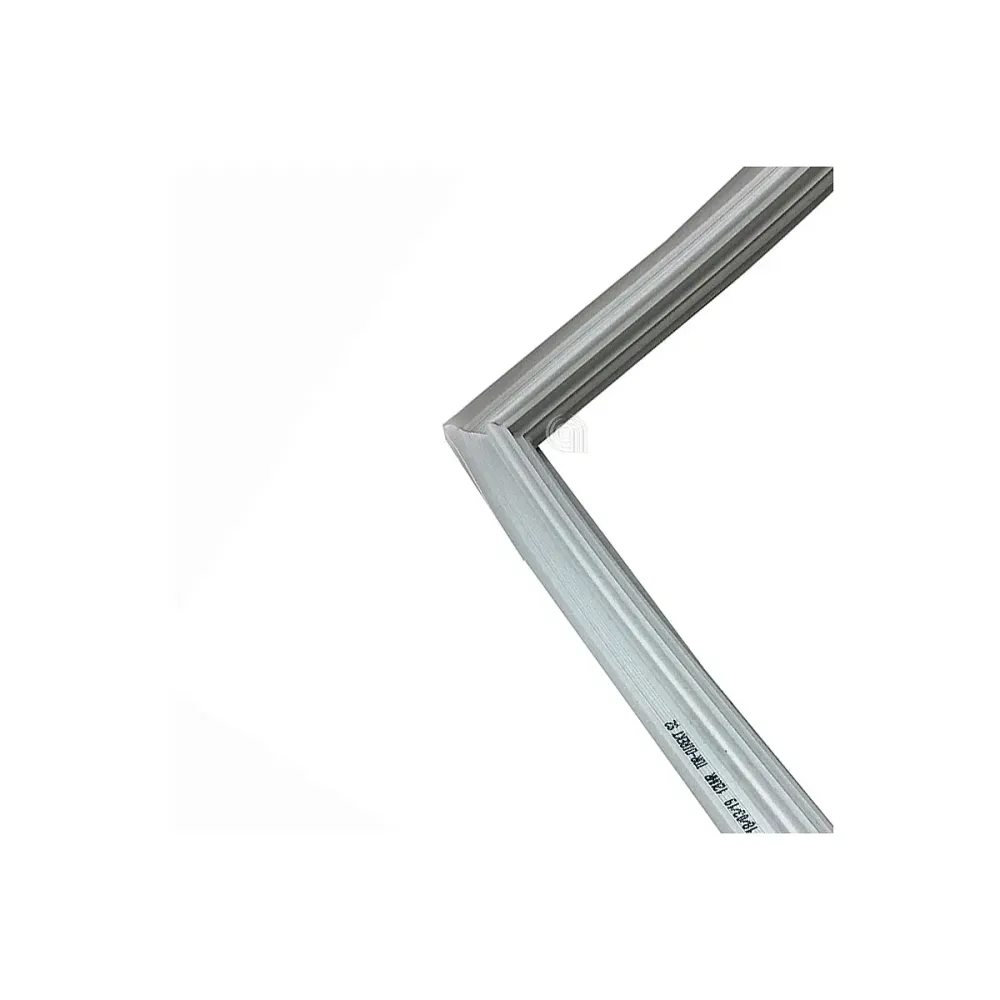 Originale magnetische Dichtung Kühlschrank Bosch Code 00218786