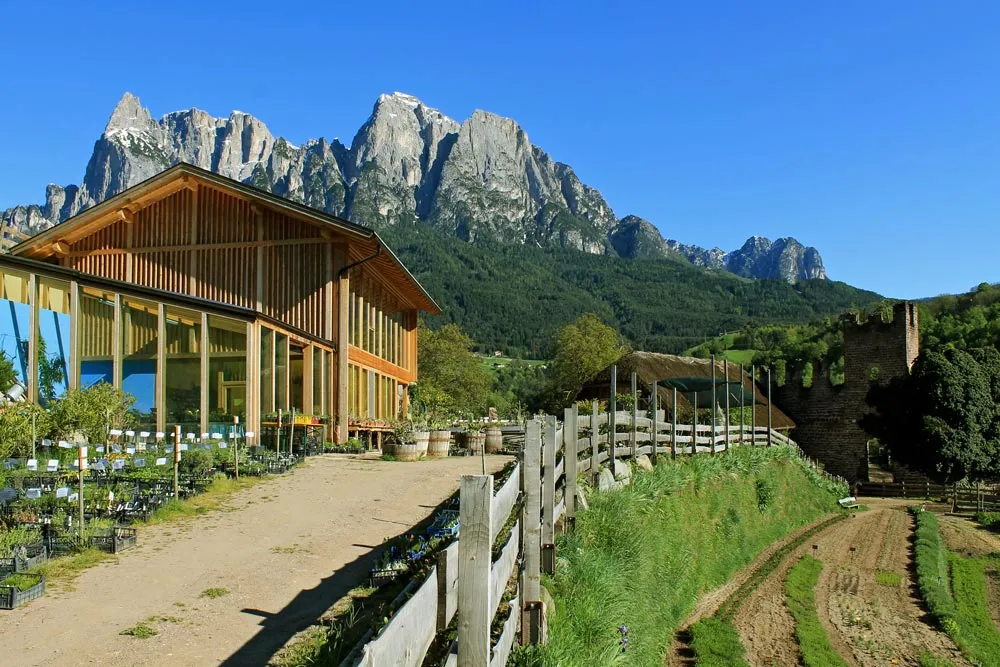 Südtiroler Alpenkräuter Tee Bio