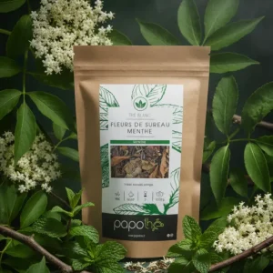 Weißer Tee Holunderblüte Minze (Exotische Frische)