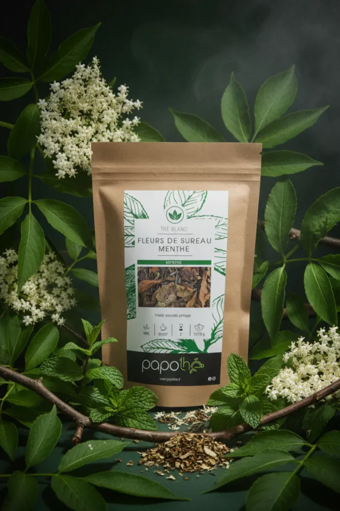 Weißer Tee Holunderblüte Minze (Exotische Frische)