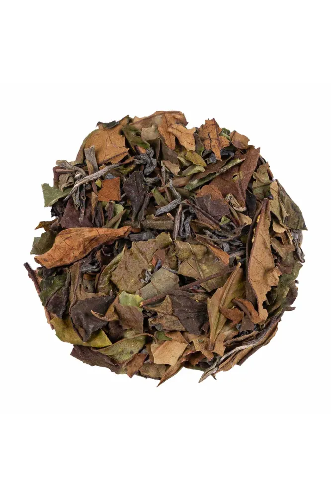 Weißer Tee Holunderblüte Minze (Exotische Frische)