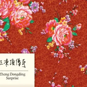 Zheng Dong Ding Surprise