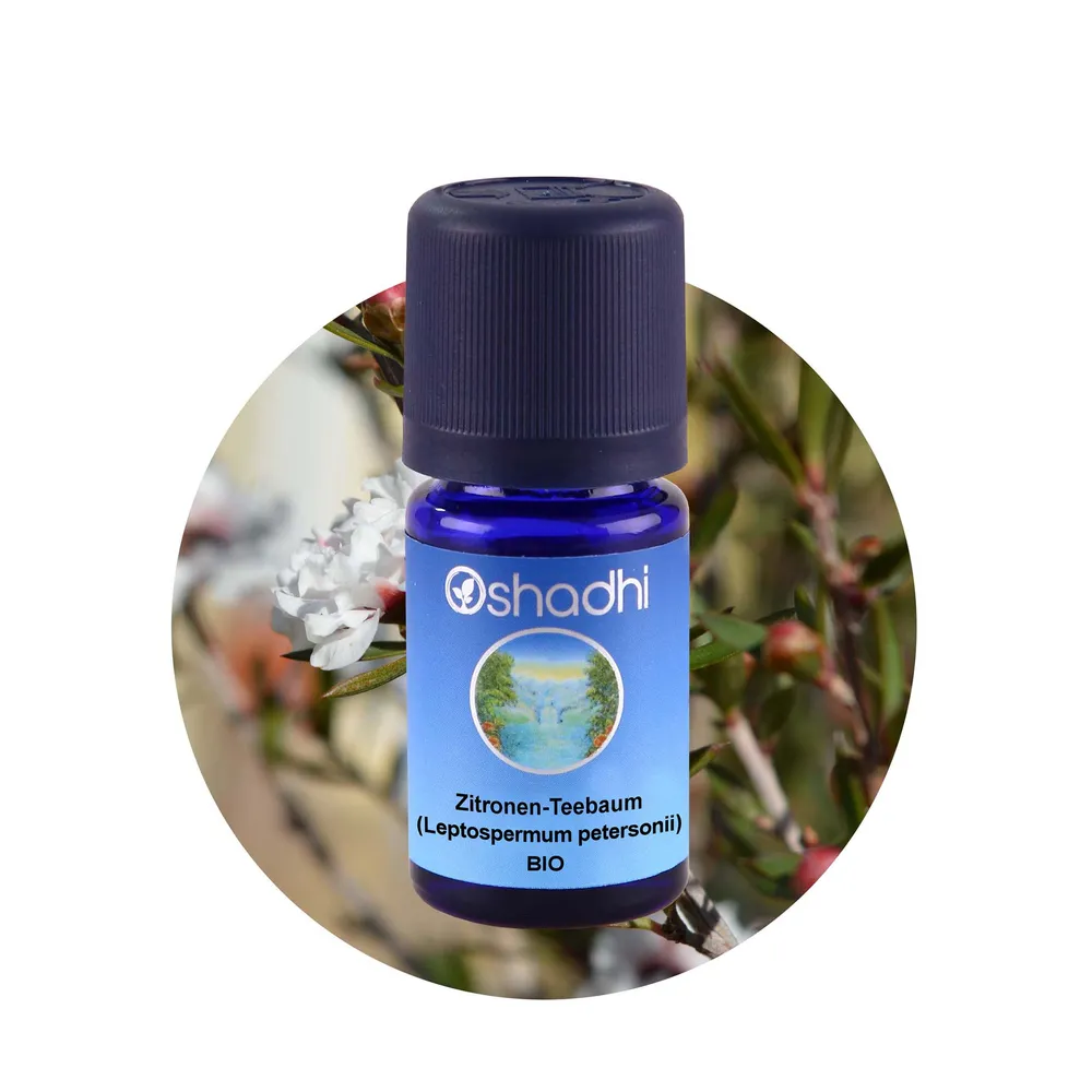 Zitronen-Teebaum (Leptospermum petersonii) bio
