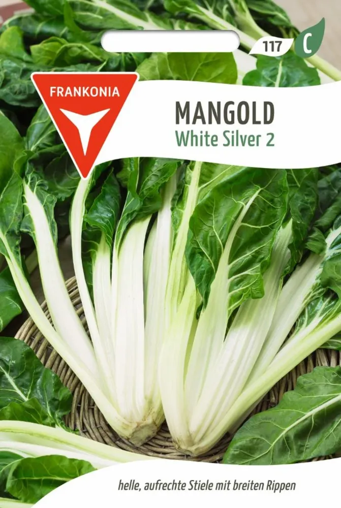 Mangold, White Silver 2