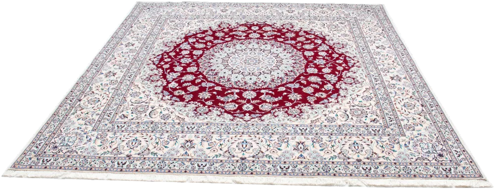Oriental Nain 6 La