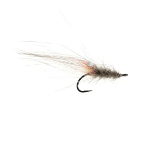 Squirrel Shrimp Salmon/White Eyes