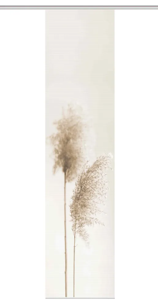 Flächenvorhang Vision S Irlos sand BxH 60x260cm