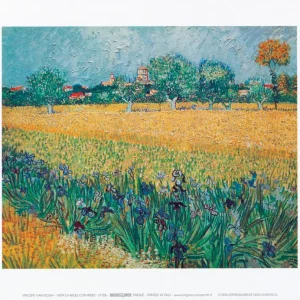Vista di Arles con irises